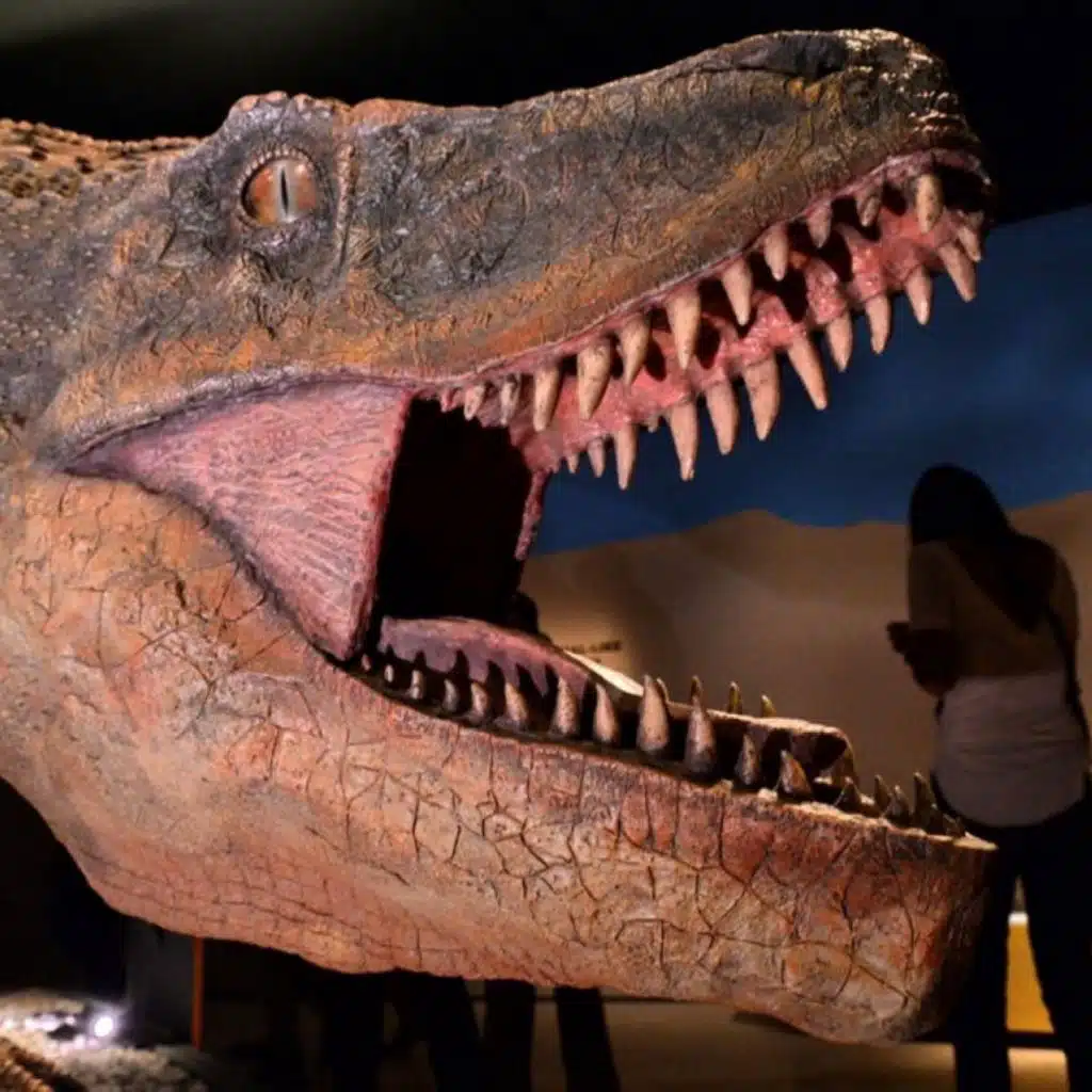 الديناصورات كانت  على حافة الهاوية قبل النيزك !