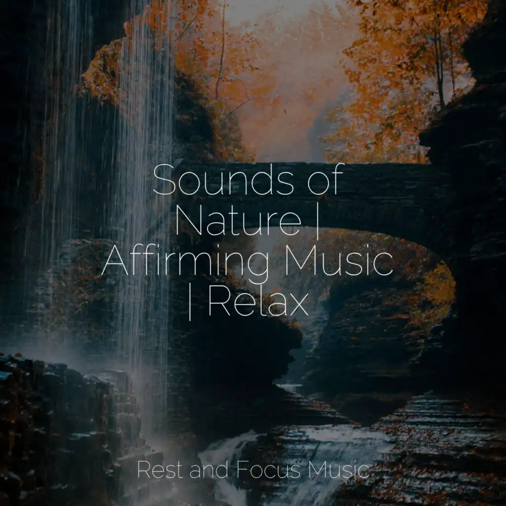 Sounds of Nature | Affirming Music | Relax