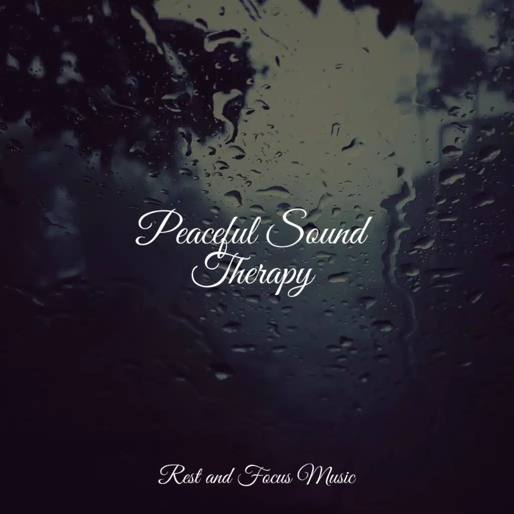 Meditation Relaxation Club