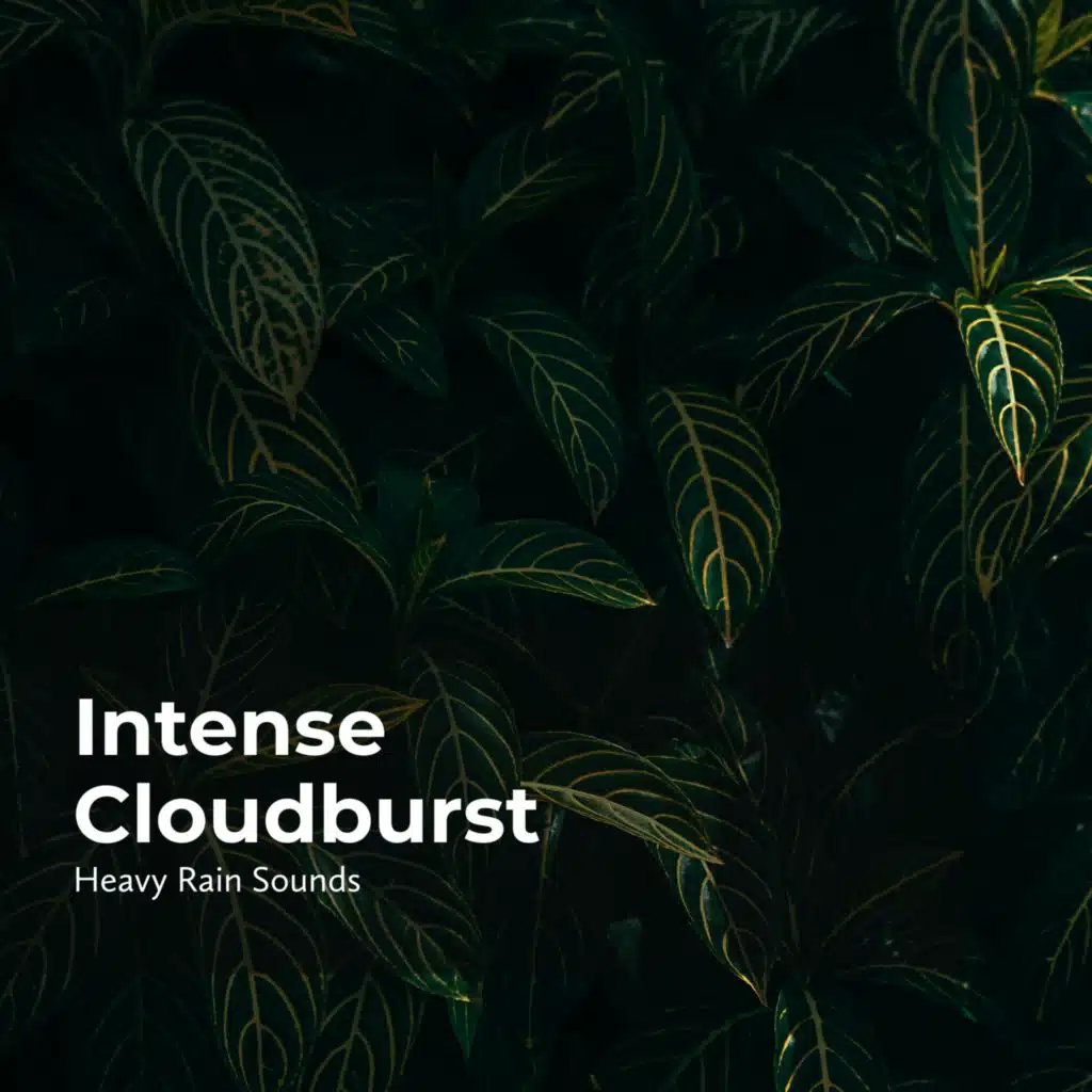 Intense Cloudburst