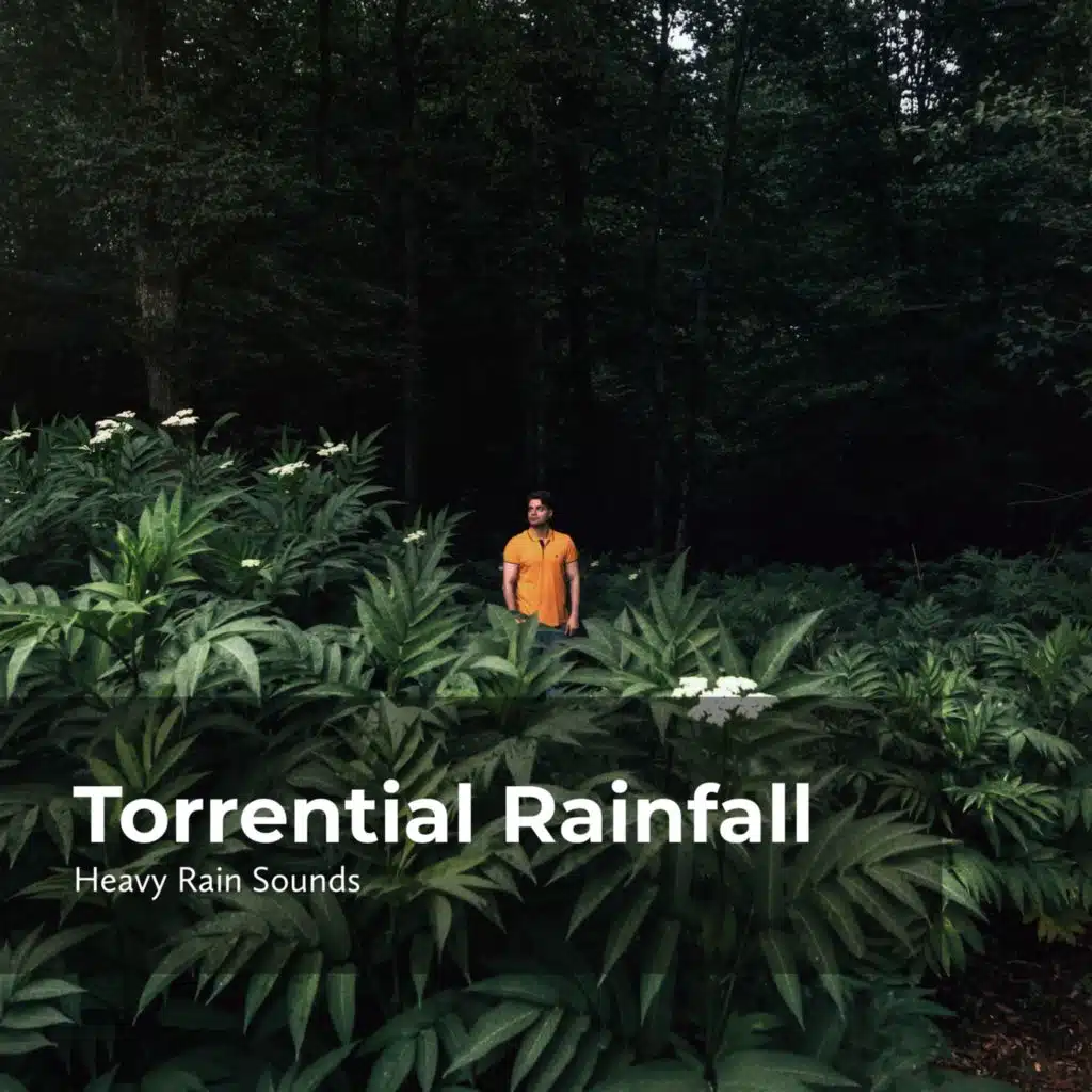 Lullaby Rain & Rain Shower Spa