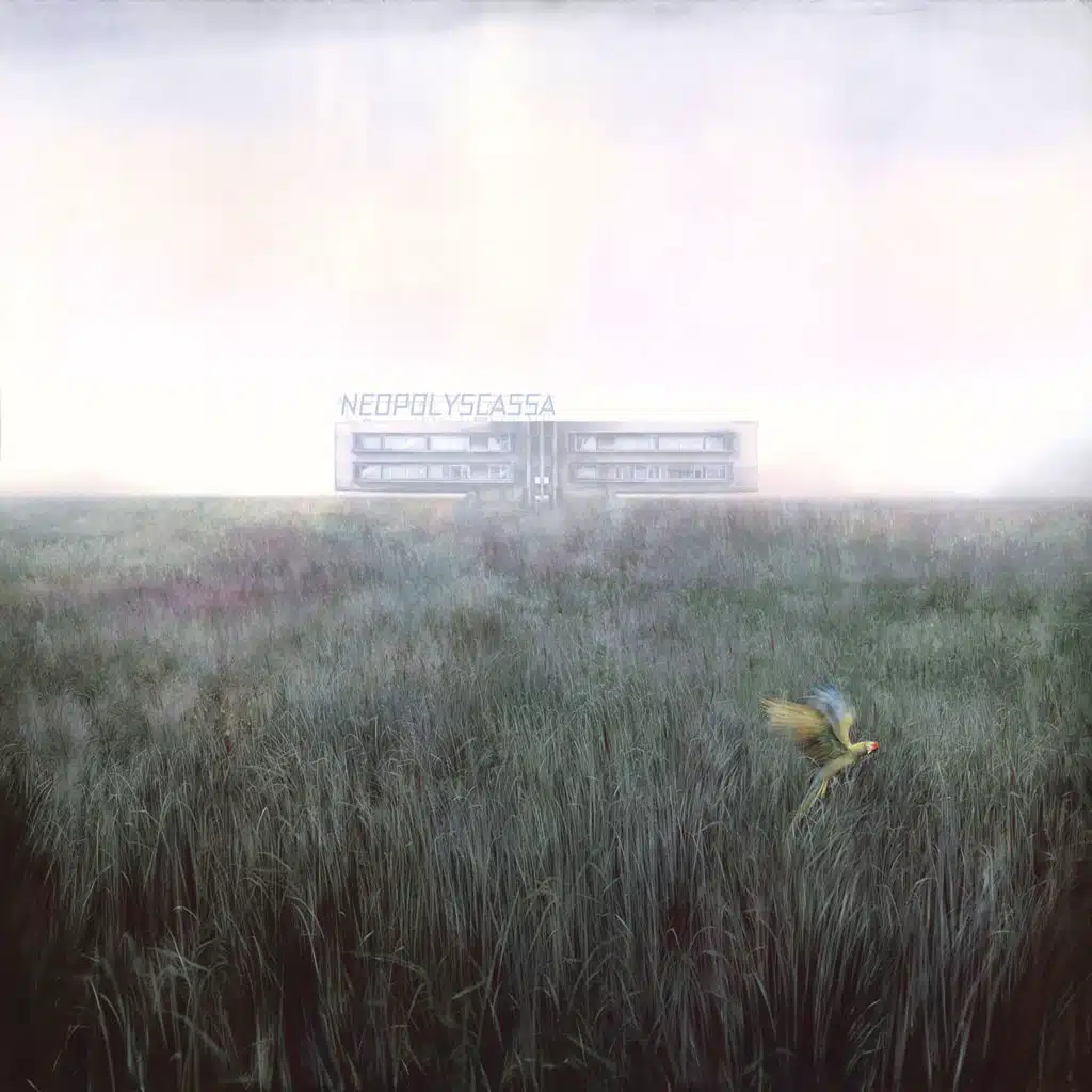 Neopolyscassa