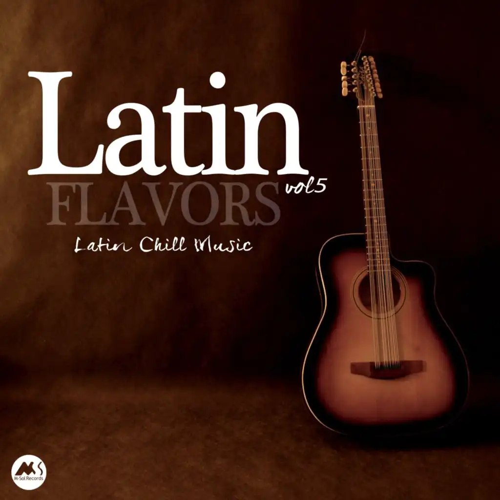 Latin Flavors, Vol. 5: Latin Chill Music