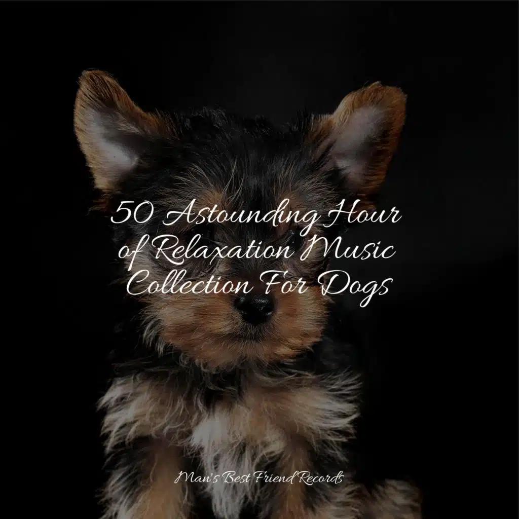 Music for Dog's Ear, Music for Pets Library & Music for Leaving Dogs Home Alone