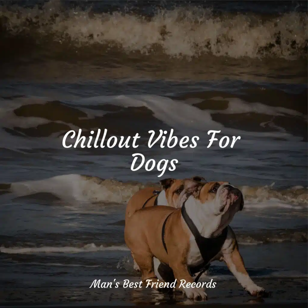 Dog Music Club, Calming Music for Dogs & Music For Dogs Peace