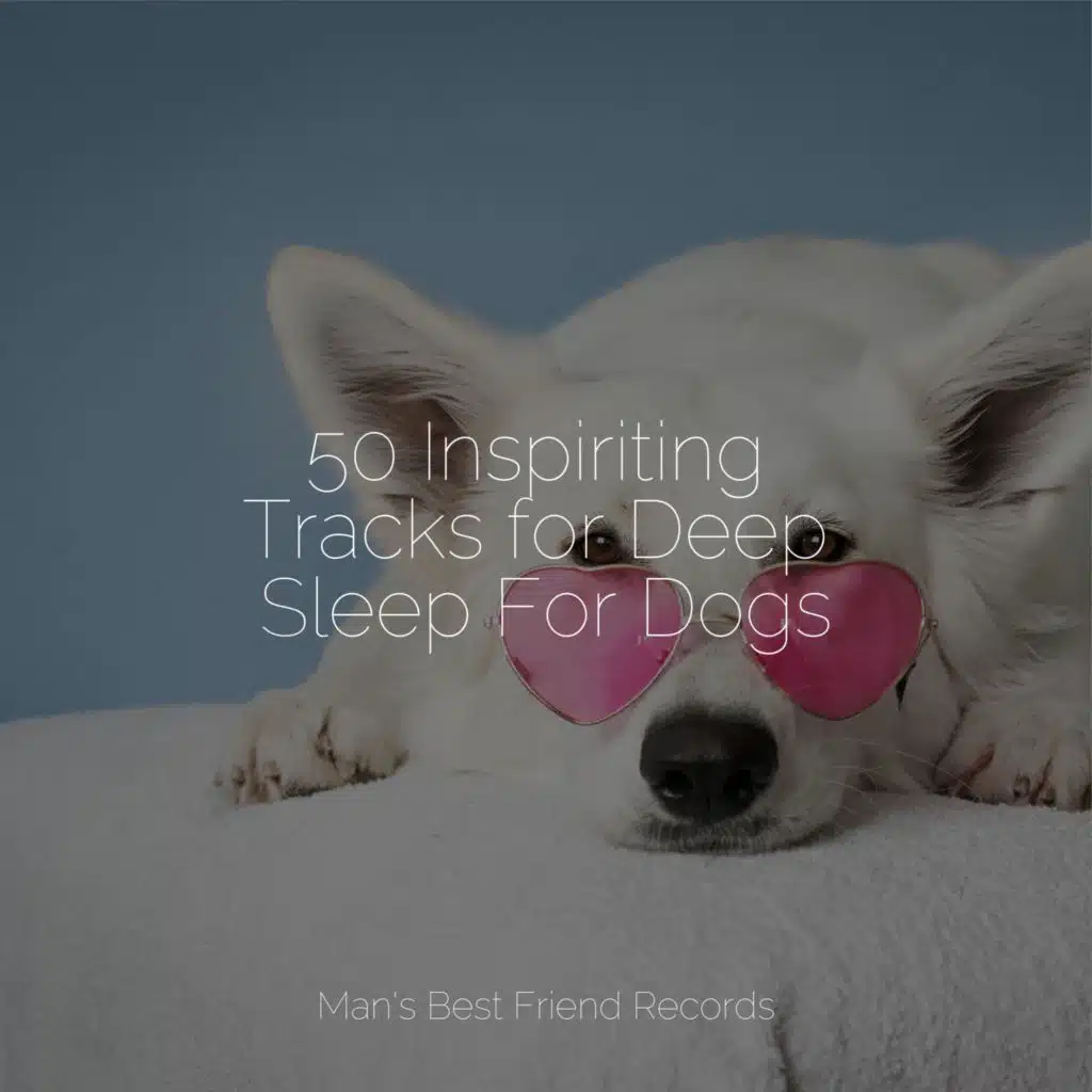 Music for Leaving Dogs Home Alone, Music for Dog's Ears & Relaxing Music for Dogs
