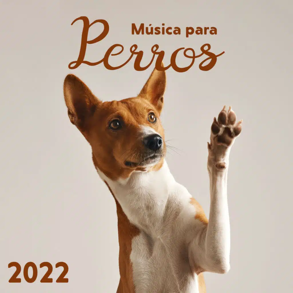 Musica Relajante para Perros
