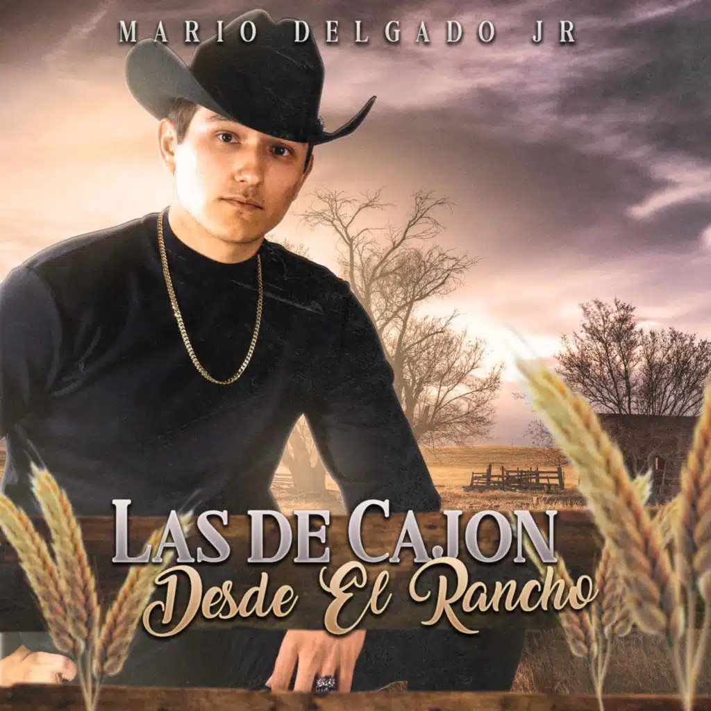 Las de cajon, Desde el rancho (En Vivo)