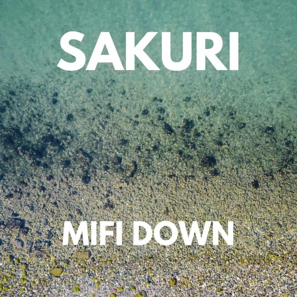 Ergonomist (Pitch-4)