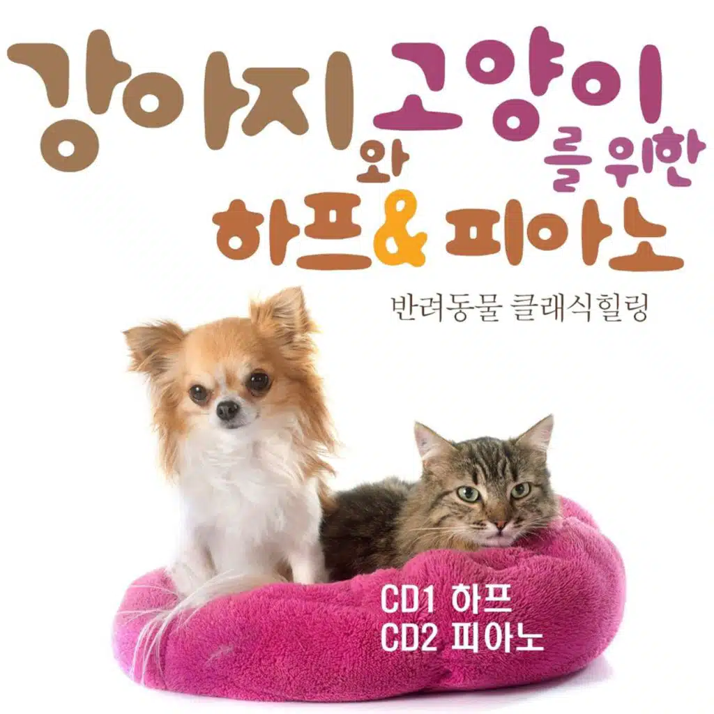 강아지와 고양이를 위한 연주곡
