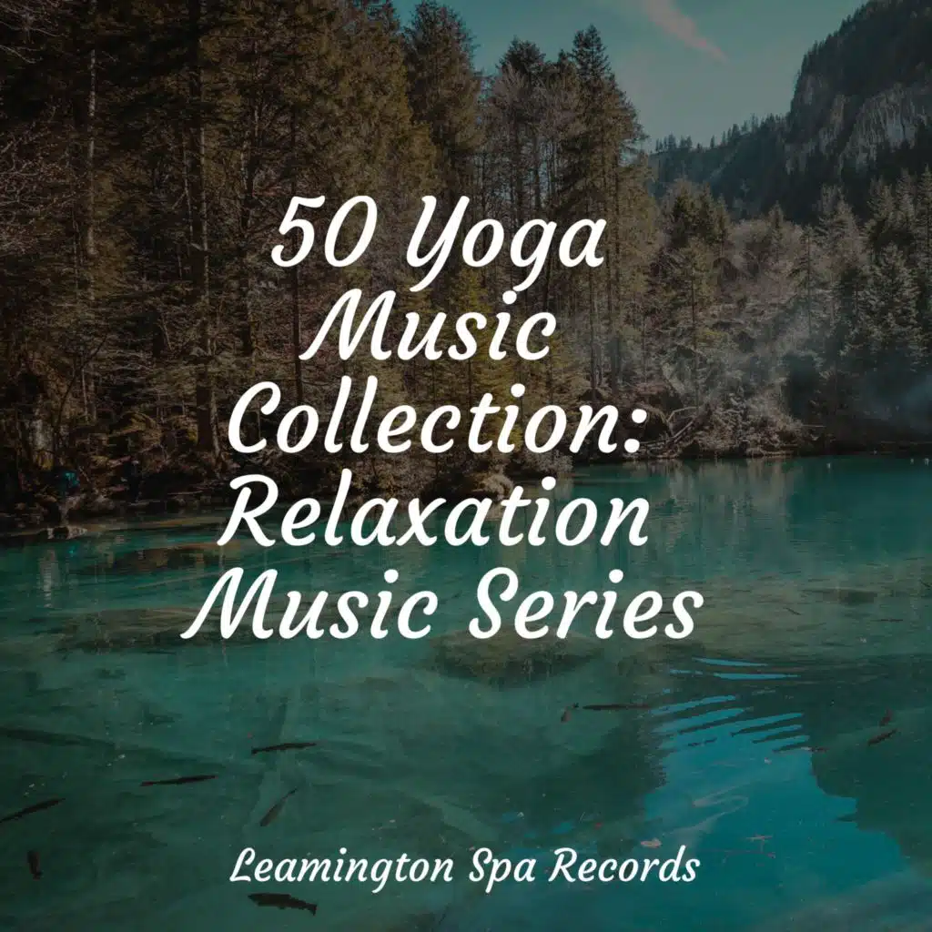 50 Yoga Music Collection: Relaxation Music Series
