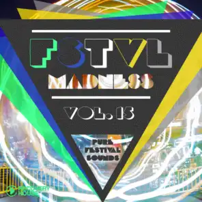 FSTVL Madness, Vol. 15 (Pure Festival Sounds)
