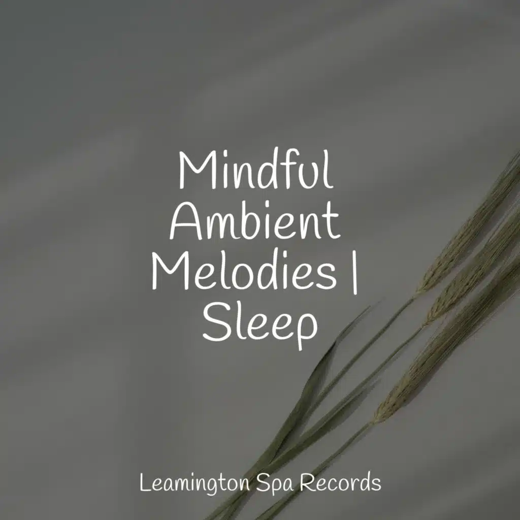 Mindful Ambient Melodies | Sleep