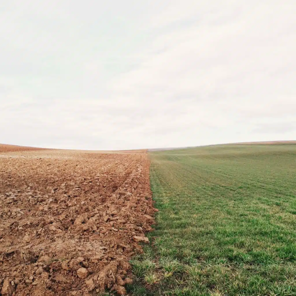 FE4.8 - Ground Truthing