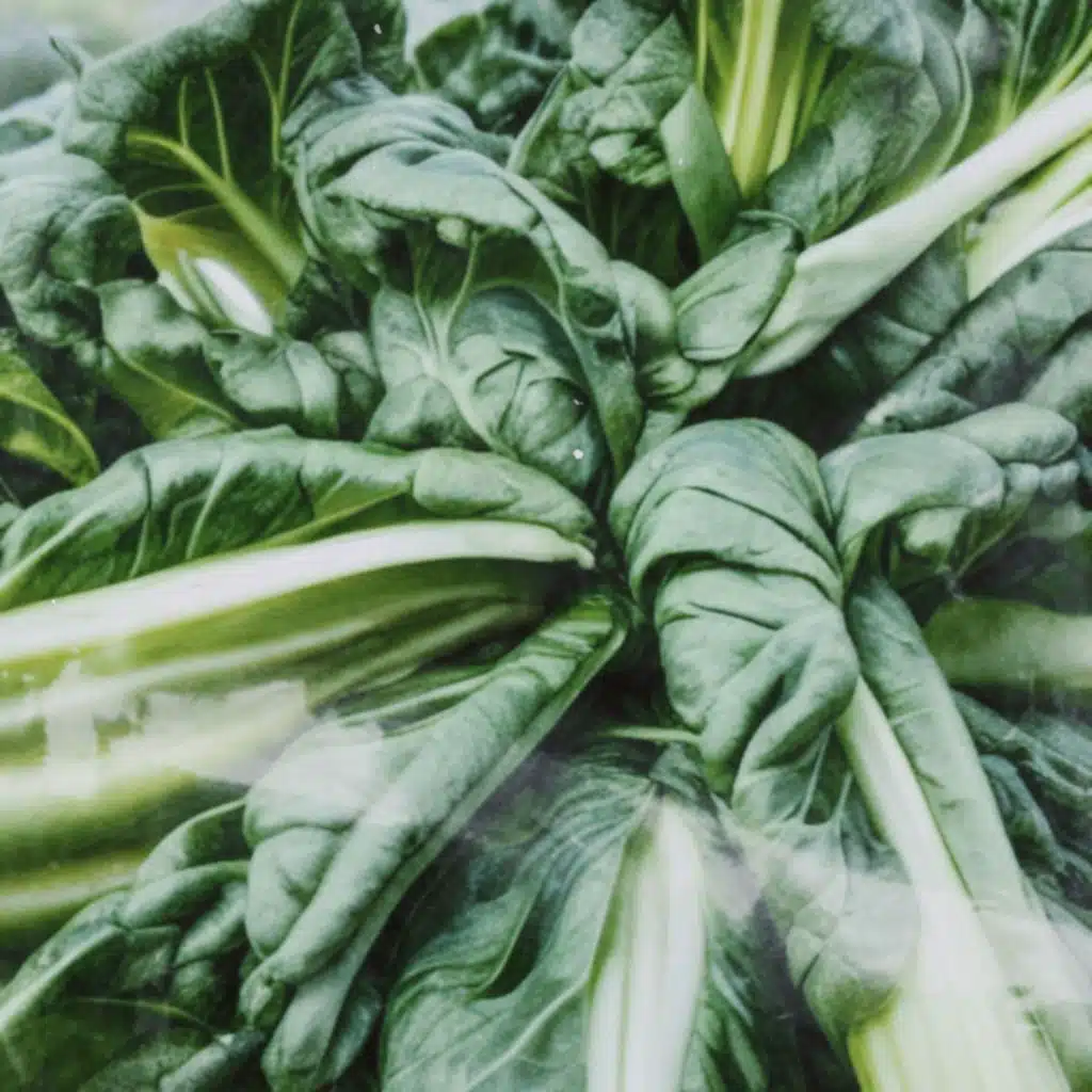 Bok Choy (feat. OG Vern & King Ezz)