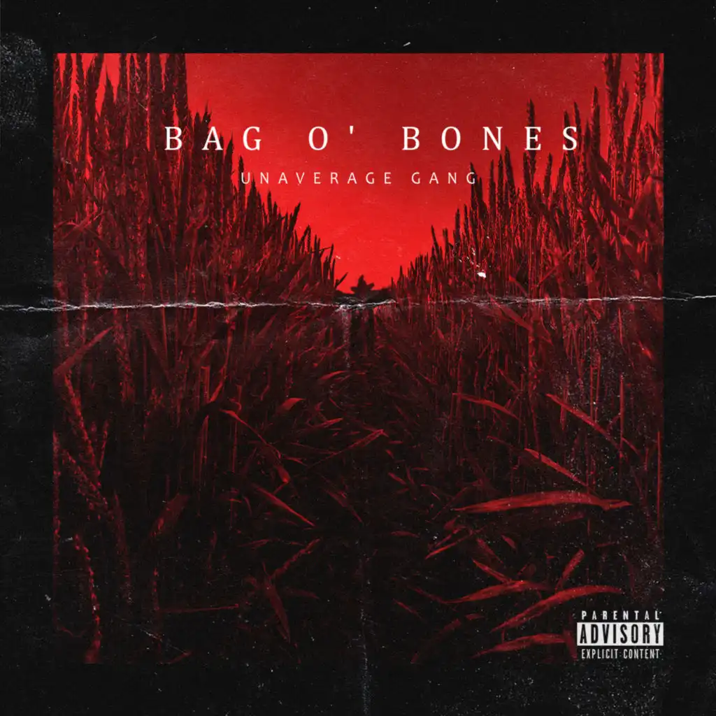 Bag O’ bones