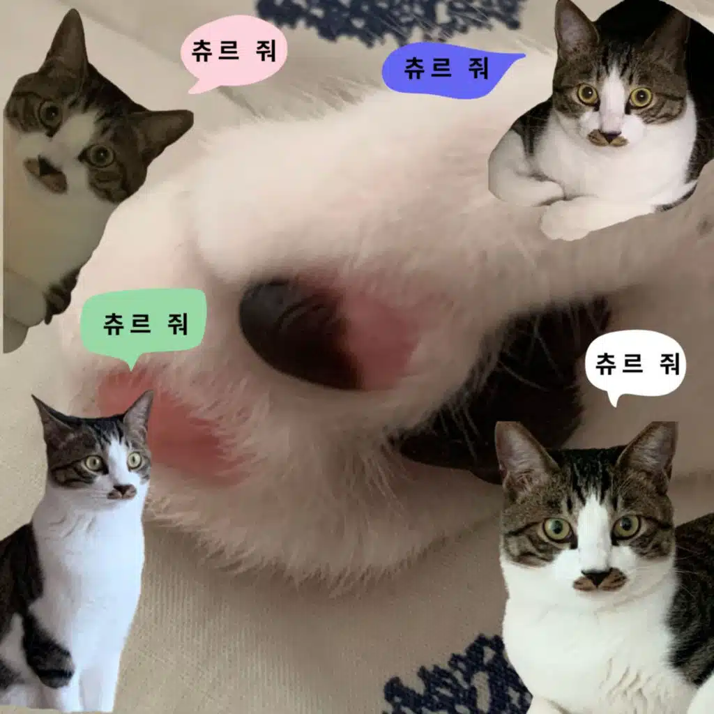 Gwangyoon is confused