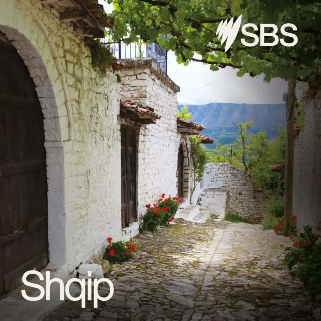 Rreziqet e blerjeve në internet