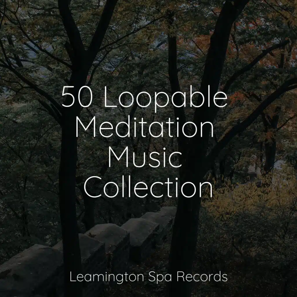 50 Loopable Meditation Music Collection