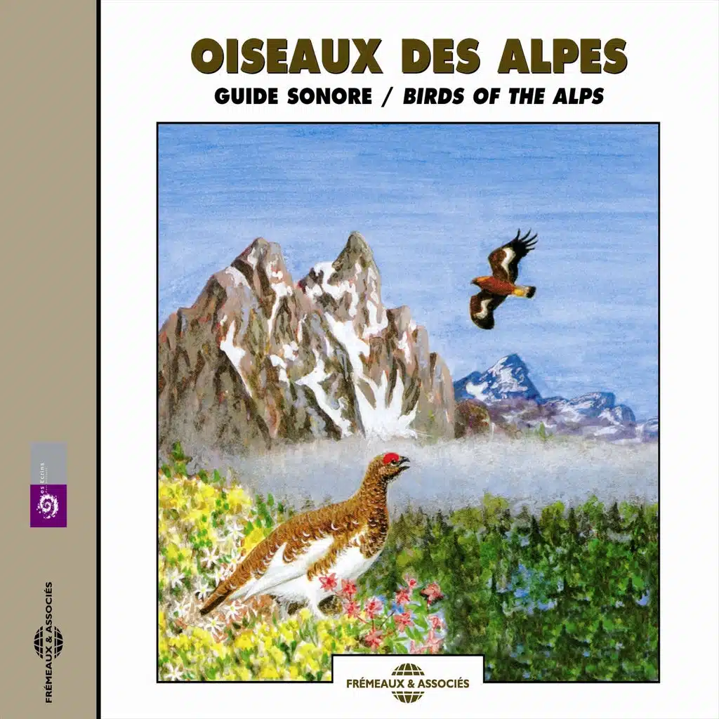 Oiseaux des Alpes - Birds of the Alps (Guide sonore)