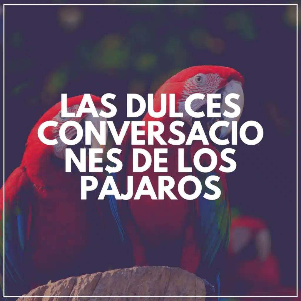 Las Dulces Conversaciones de los Pájaros