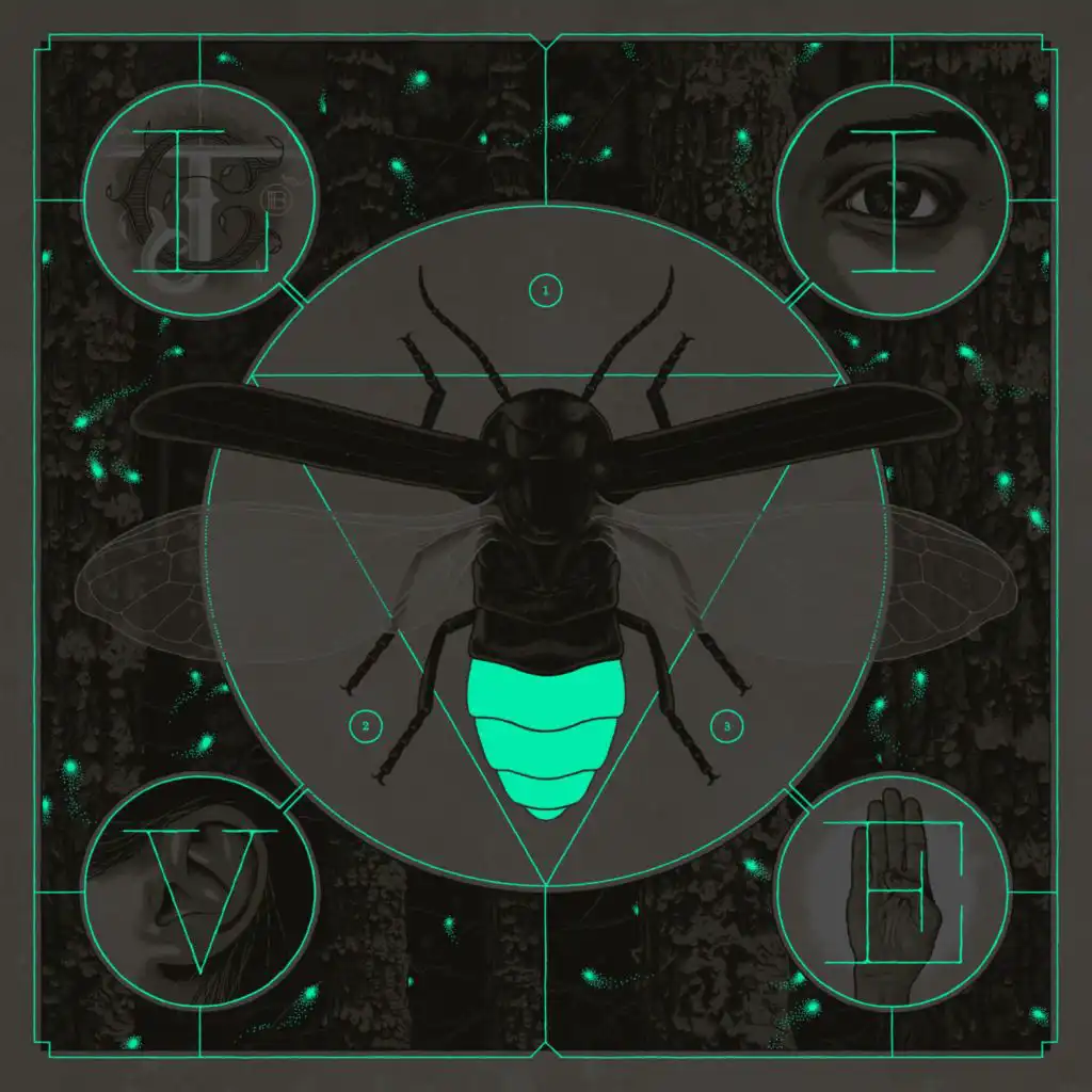 Prism of Doubt (Live)