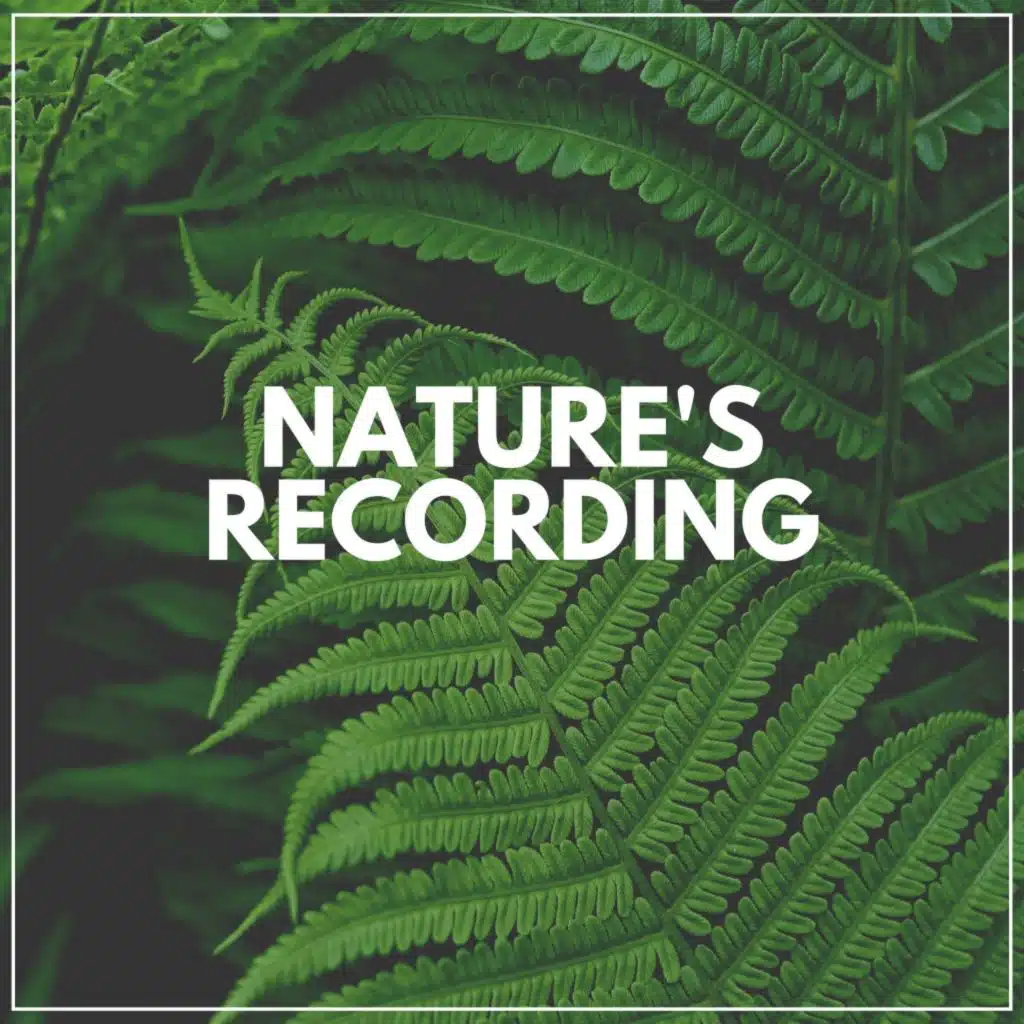 Nature's Recording