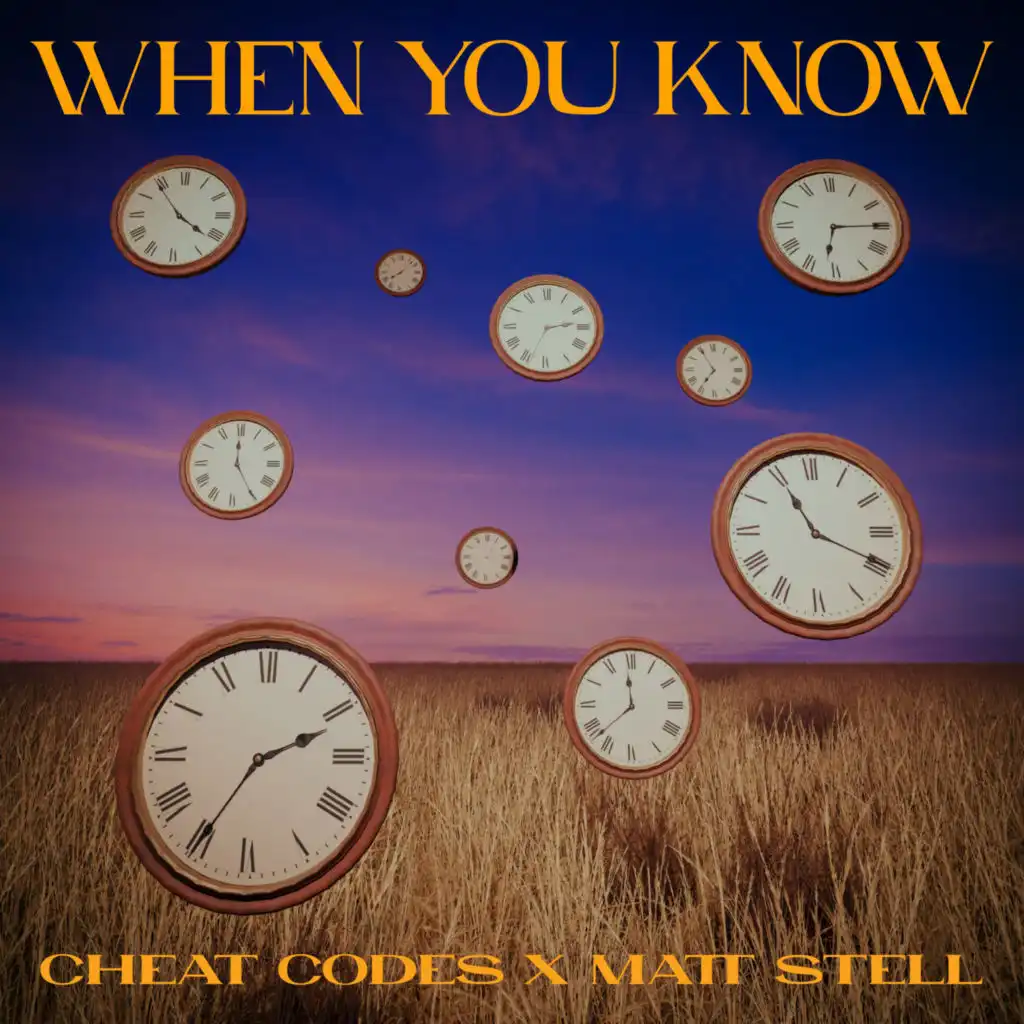 Cheat Codes & Matt Stell