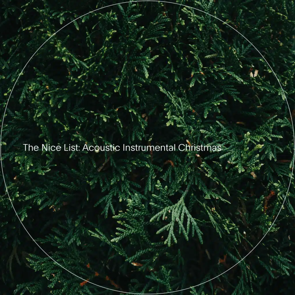 Silent Night (Acoustic)