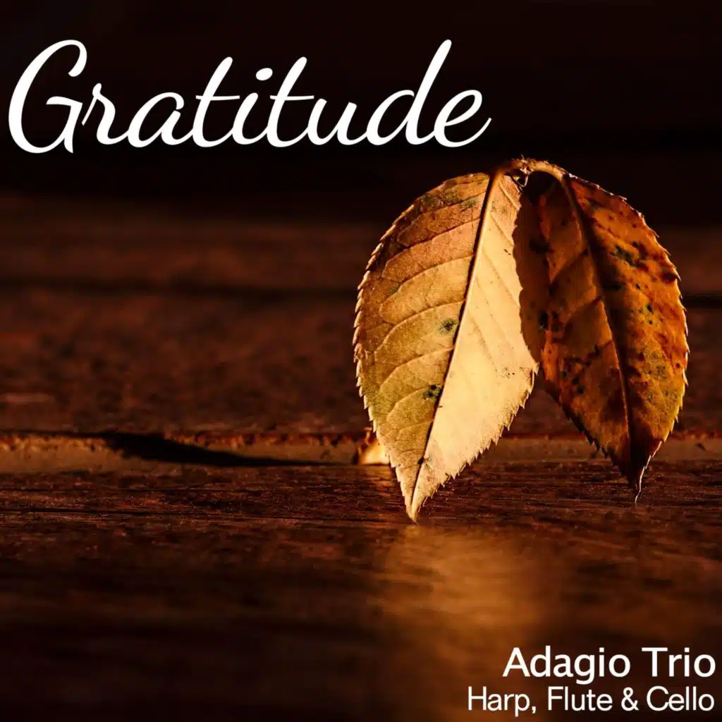 Gratitude