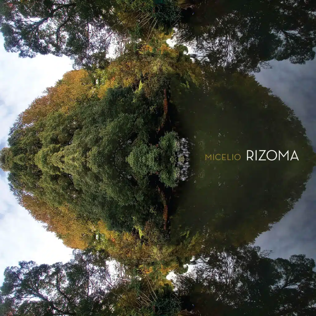 Achicoria (Nor Corea)