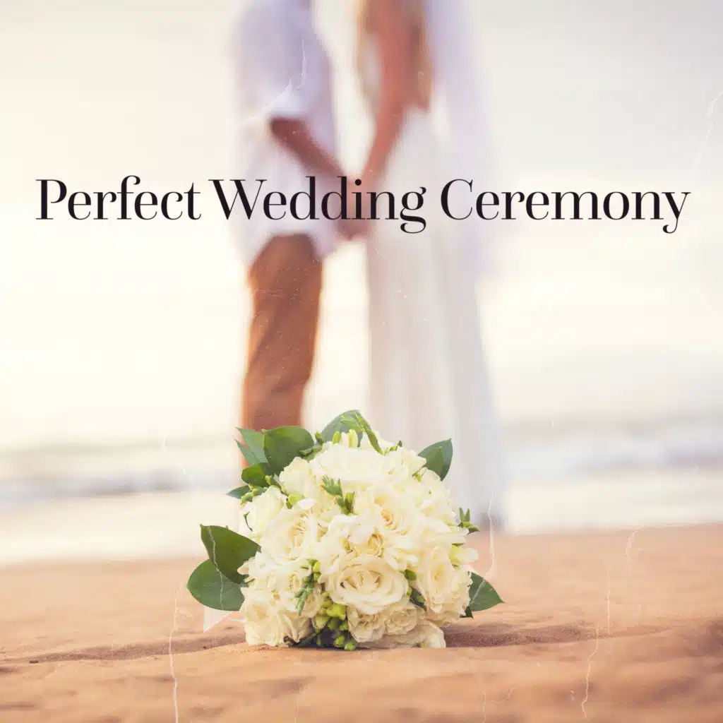 Instrumental Wedding Music Zone & Wedding Music Zone