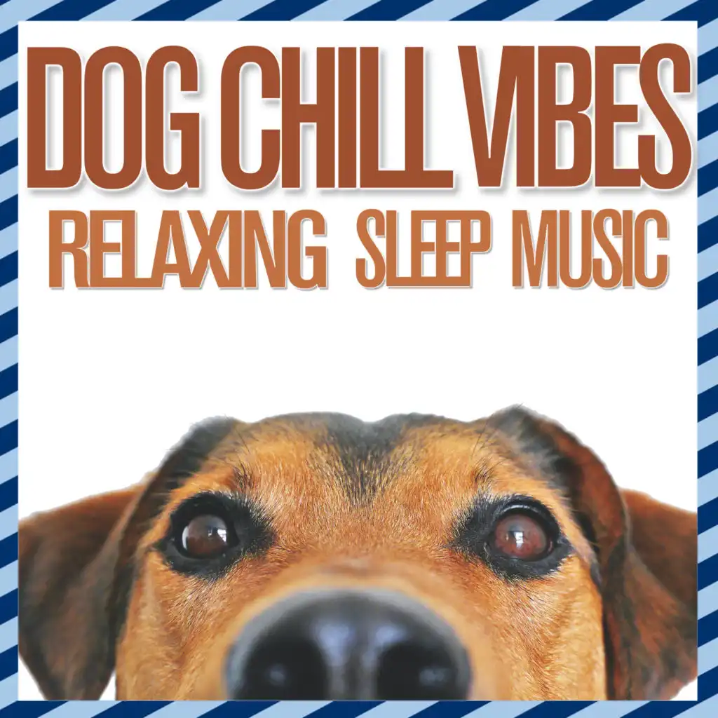 Dog Music Dreams & RelaxMyDog