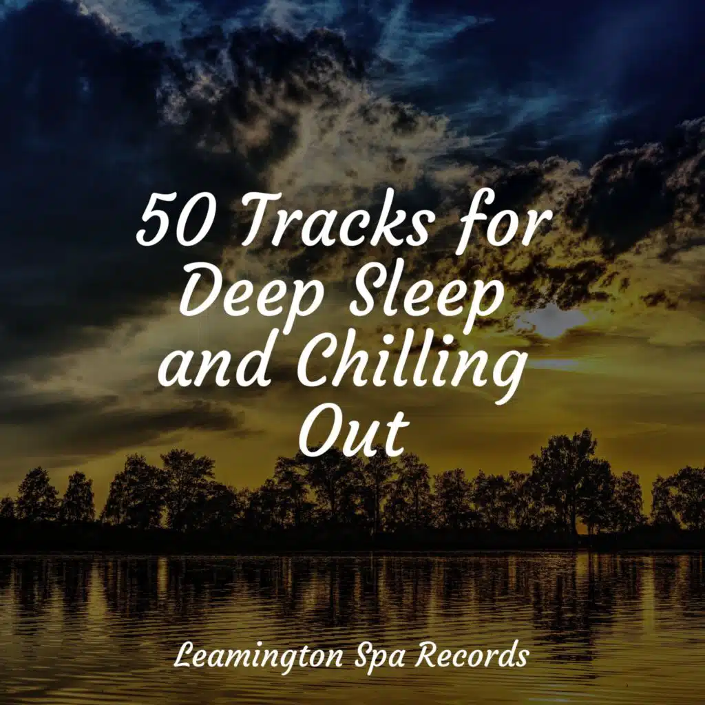 Namaste Healing Yoga & Study Music