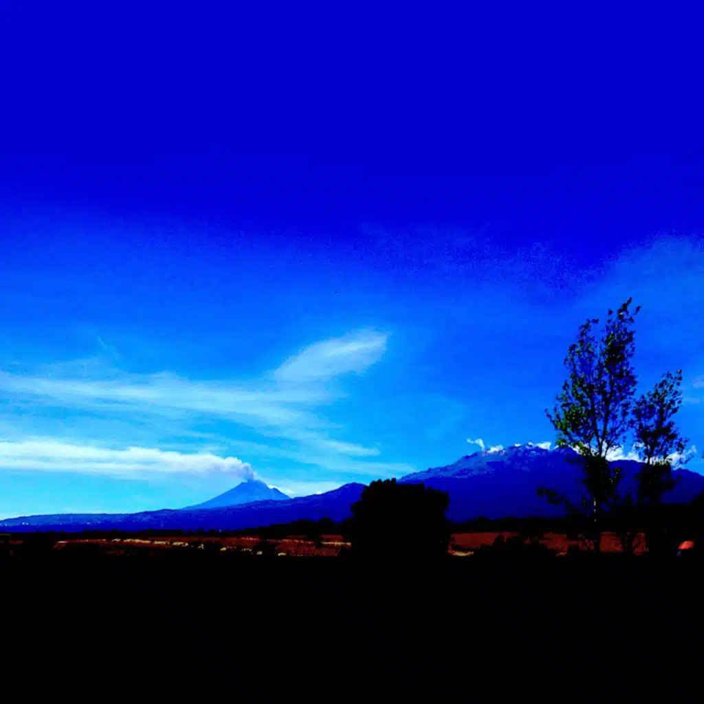 Mamíferos Habituales