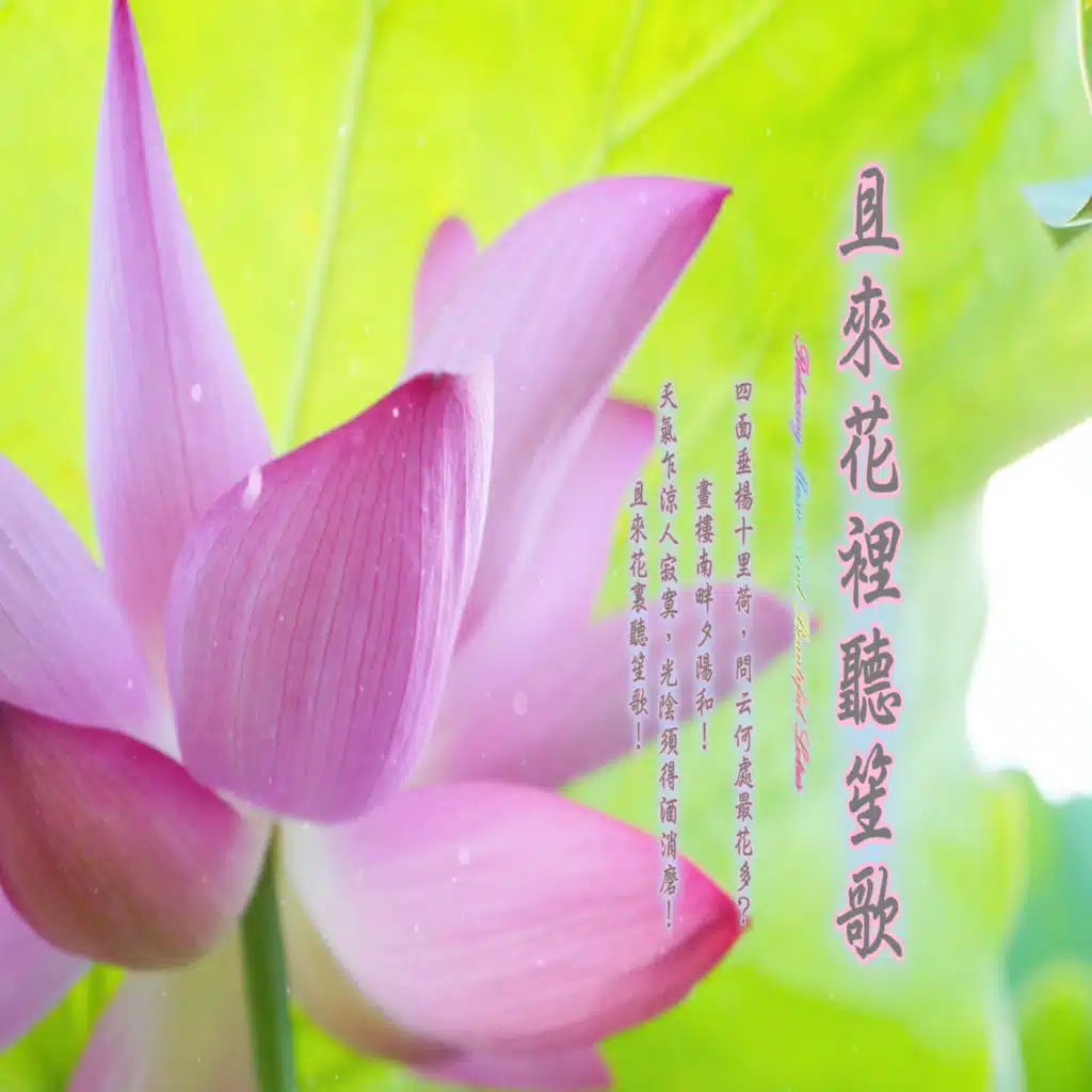 東方冥想音樂系列 (33): 且來花裡聽笙歌