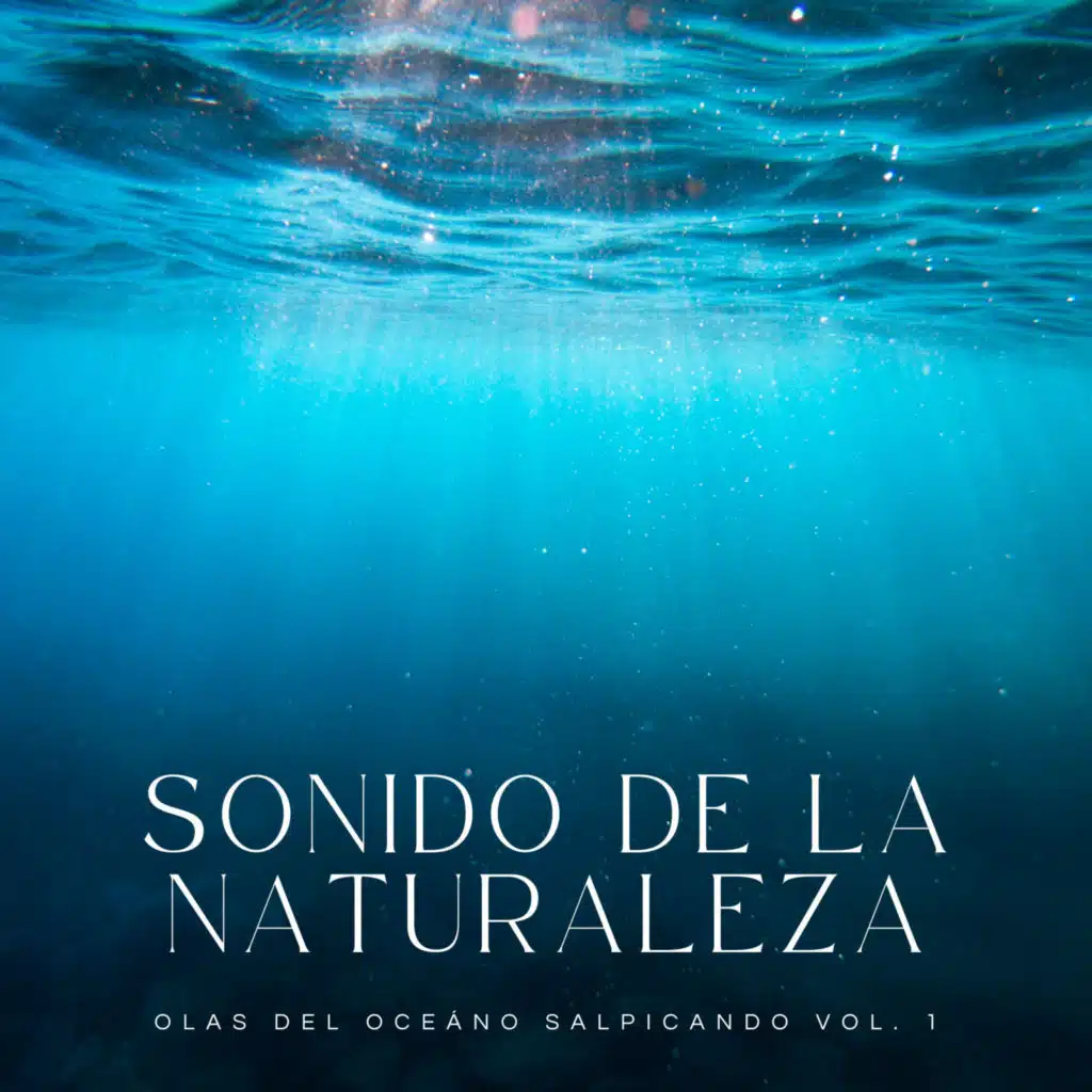 Sonido De La Naturaleza: Olas Del Oceáno Salpicando Vol. 1