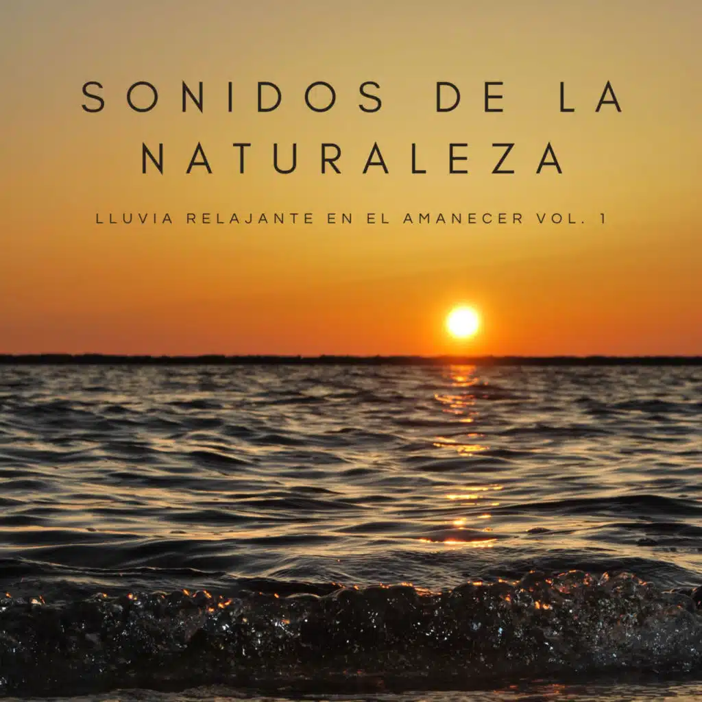 Música Para Reducir La Ansiedad