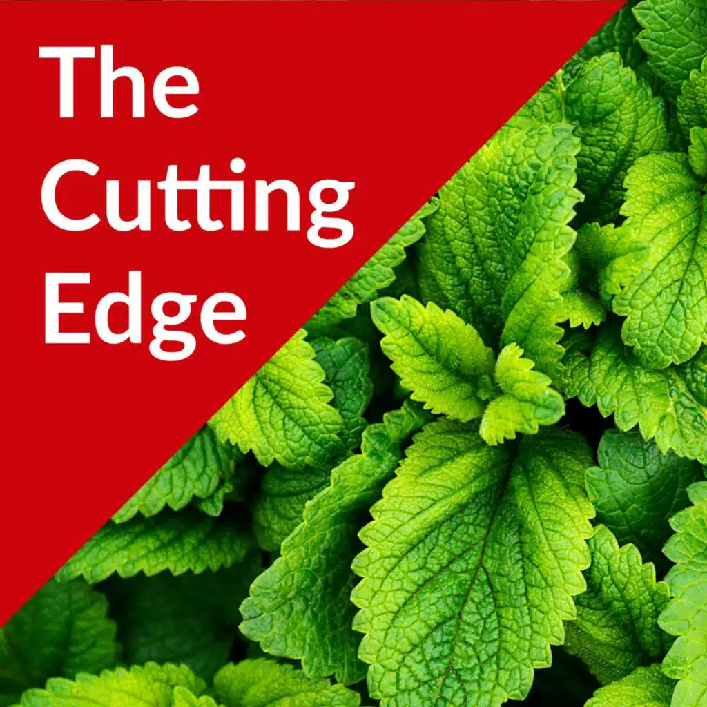 Episode #32: Mint Production(For Oil)