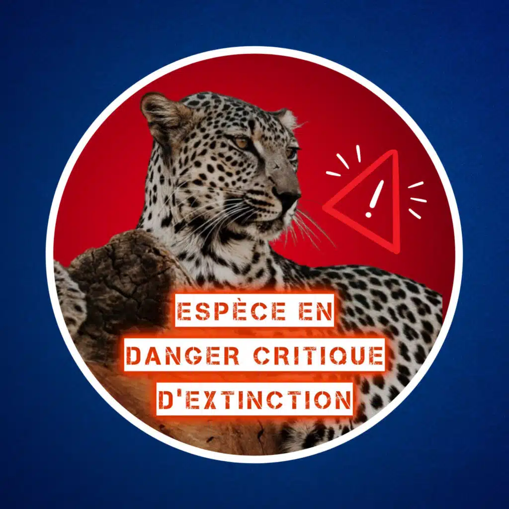 Qu'est-ce que la liste rouge de l'UICN ?