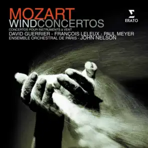 Horn Concerto No. 4 in E-Flat Major, K. 495: I. Allegro moderato