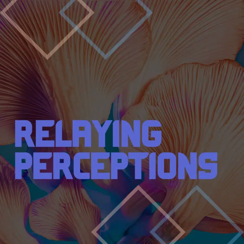 Die ruhige Naturmelodie