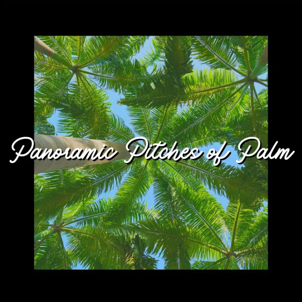 Panoramic Pitches of Palm
