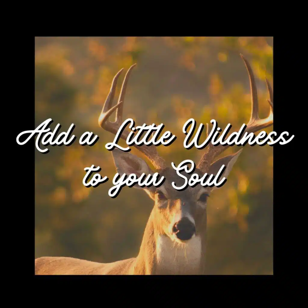 Add a Little Wildness to Your Soul