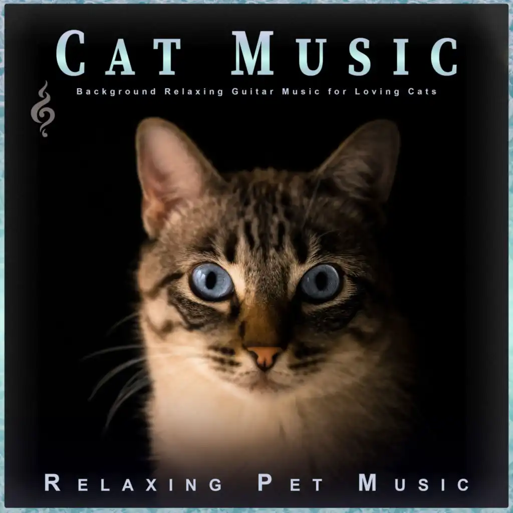 Background Music For Cats