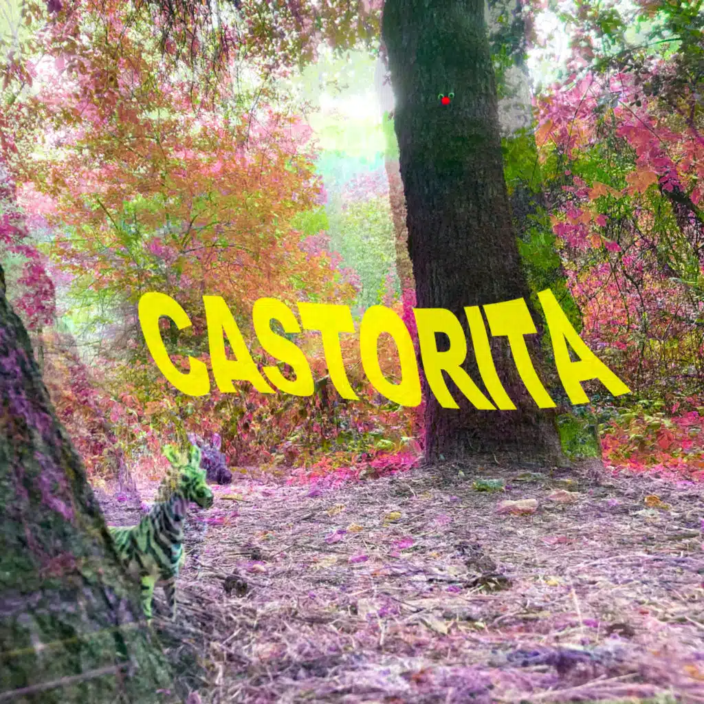 Castorita