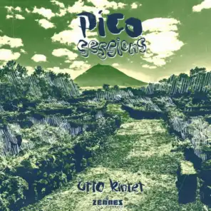 Pico Sessions (Live in Cc Strombeek)