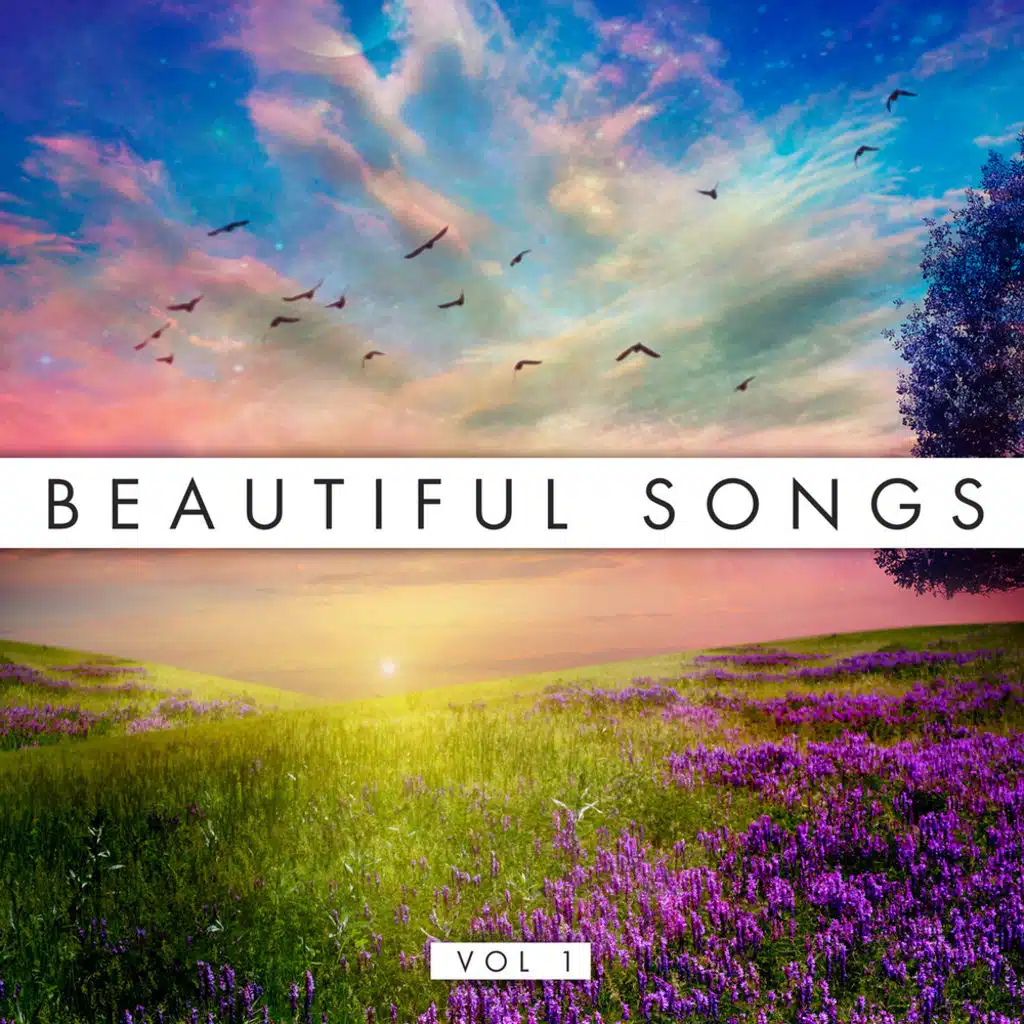 Beautiful Songs Vol. 1