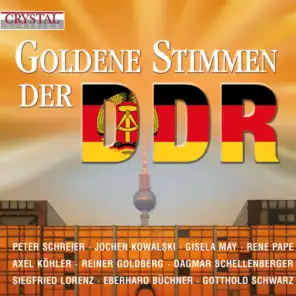 Weihnachtsoratorium, BWV 248, Pt. I: 8. "Großer Herr"