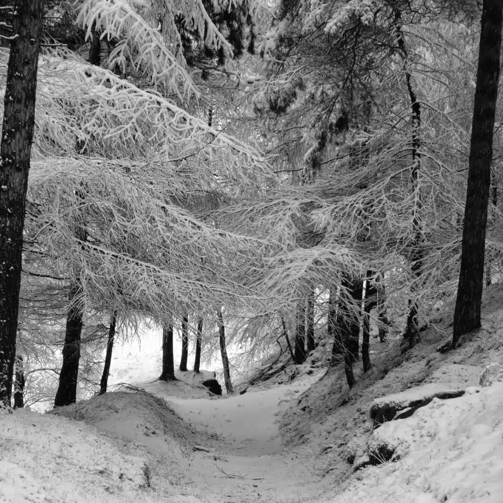 Can I Still Believe in You?